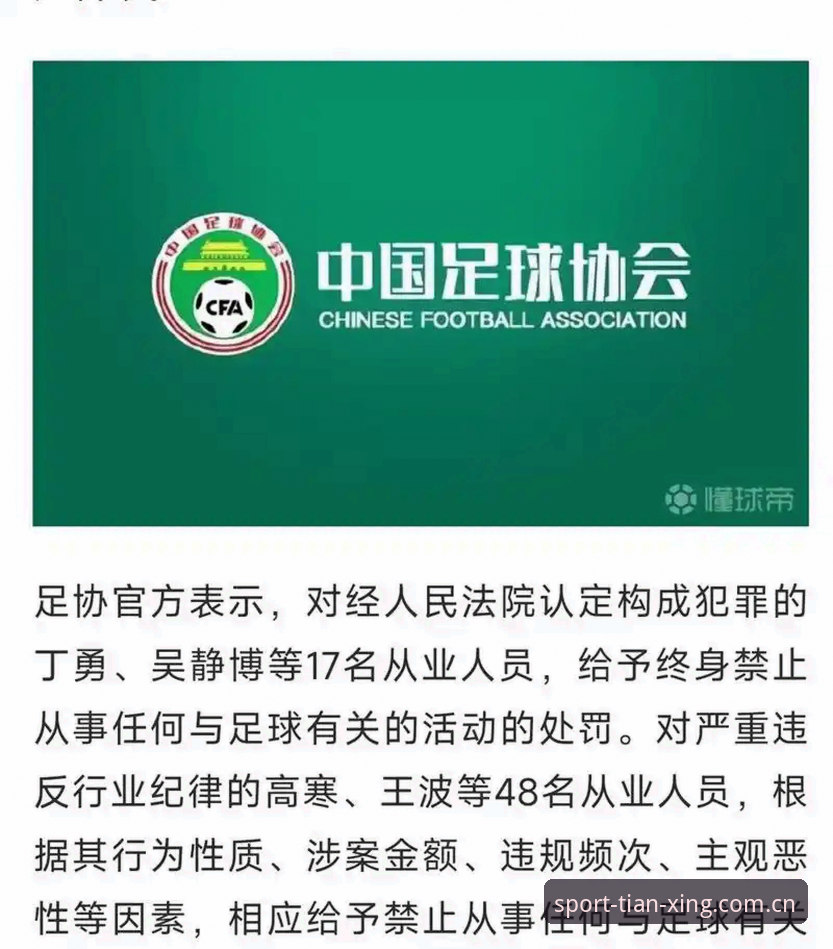 中国足协第三批禁足名单深度分析：65人遭处罚背后的行业整顿全景解读