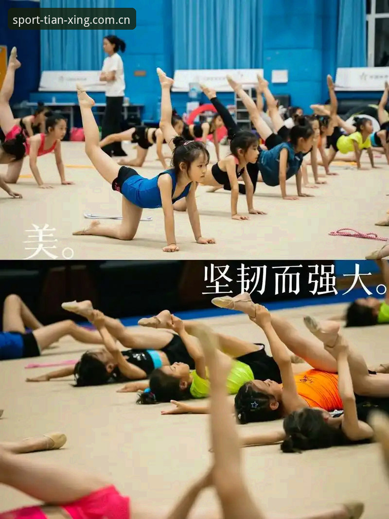 揭秘天行体育实时更新手机版：你不知道的随身体育资讯利器